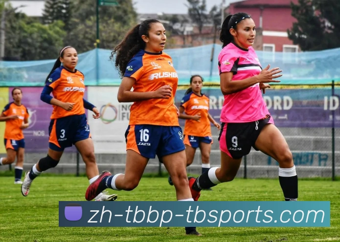 天博体育APP 高清赛事图